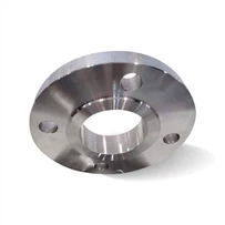 Flanġi ta 'l-Istainless Steel 317 / 317L