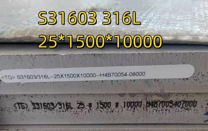 Inoxidable SUS316 Inoxidable SUS316